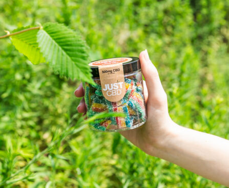 CBD Vegan Gummies